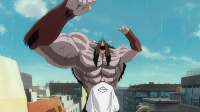 Archivo:830px-Bleach - 226 - Large 04.jpg