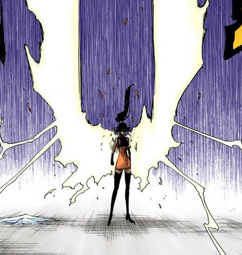 File:656Yoruichi's Shunko.png