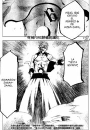 Bleach 209.jpg