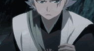 Hitsugaya Hado