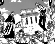 R625 Grimmjow i Ichigo