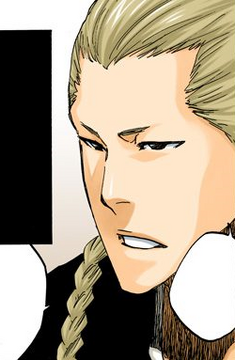 File:494Riku profile.png