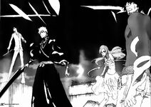 Bleach90.jpg