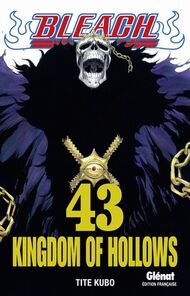 Tome 43.jpg