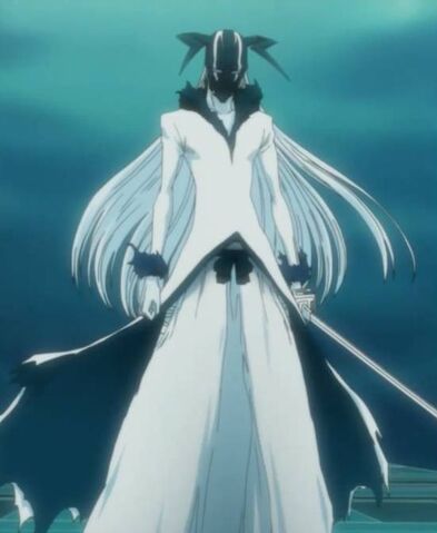 Archivo:Full Hollow Ichigo.jpg