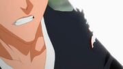 Ichigoherido.jpg