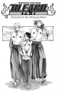 C-17 cover