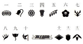 Insignia divisiones.jpg