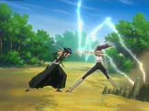 Yoruichi defeats Sui-Feng.png