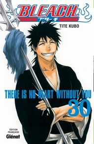 Tome 30.jpg