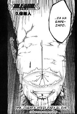 Bleach 149.jpg
