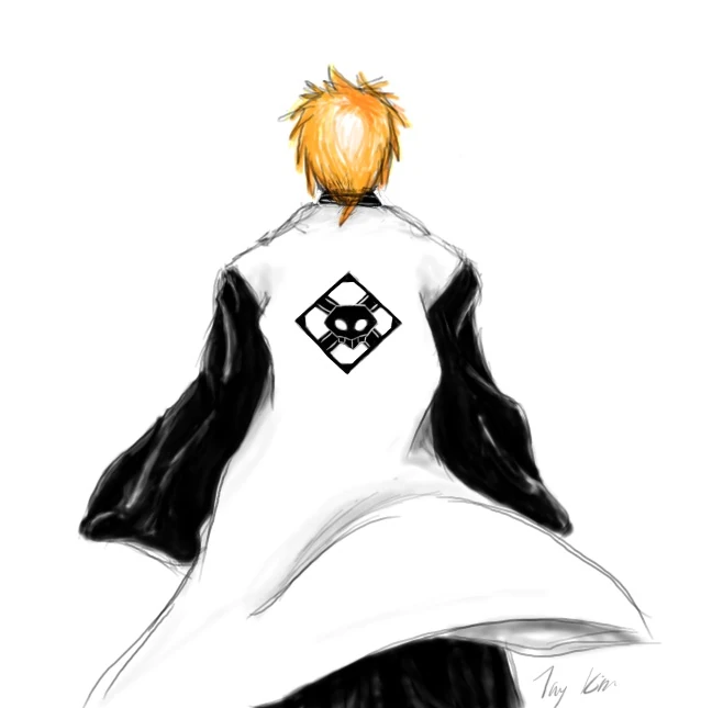 FichierCaptain Ichigo.jpg Bleach Wiki Fandom powered by Wikia