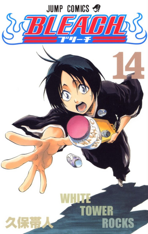 File:BleachVolume14Cover.png