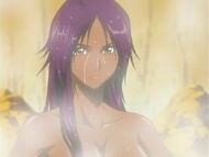 Bleach yoruichi152.jpg