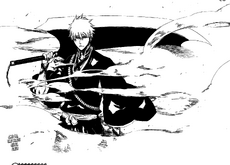 Ichigo Shnigami.png