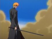 Bleach58.jpg