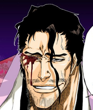 497Shunsui loses