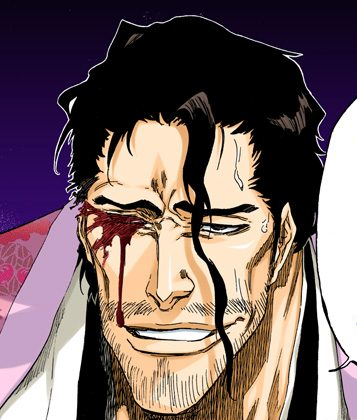 File:497Shunsui loses.png