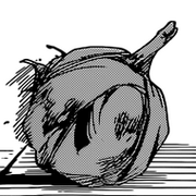 Senjumaru digulung.png