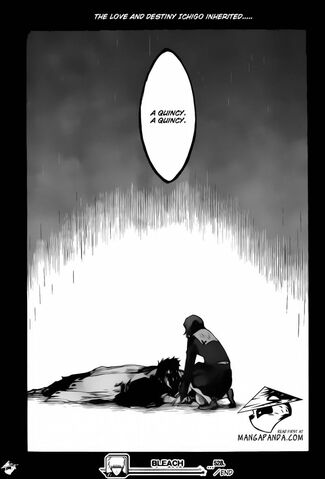 File:Bleach-3945833.jpg