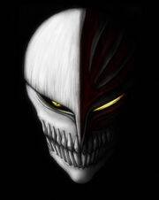 The mask