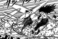 Suzaku sword attack