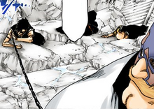 560Hisagi wraps.png