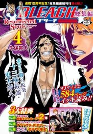 Bleach41.jpg