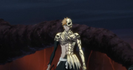 IchigoSkullClad.png