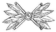 Lille's Glove Design.png