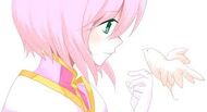 Images (26)