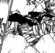 190px-Renji fallen.jpg