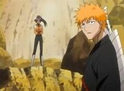 Yoruichi-002.jpg