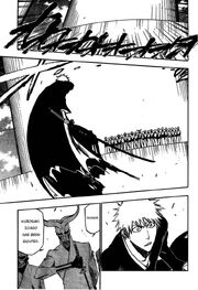 IchigoExequisas
