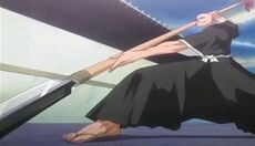 HozukimaruS.jpg