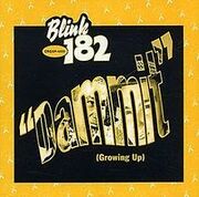 220px-Blink-182 - Dammit cover