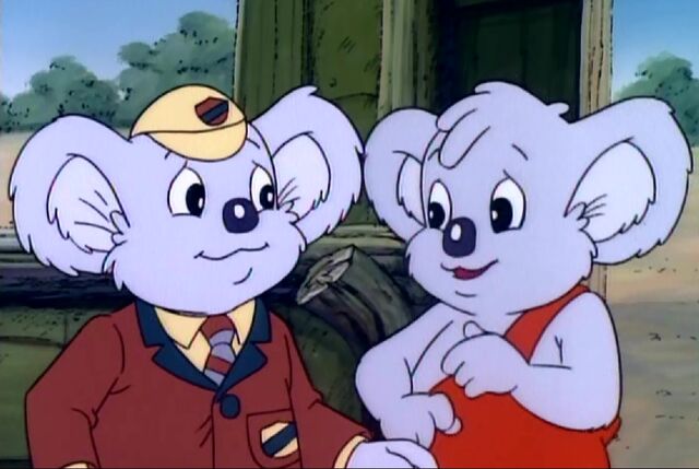 File:Who is Blinky Bill.jpg