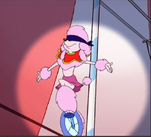 File:Penelope in circus.jpg