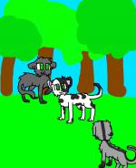 1492915230 Cats.min