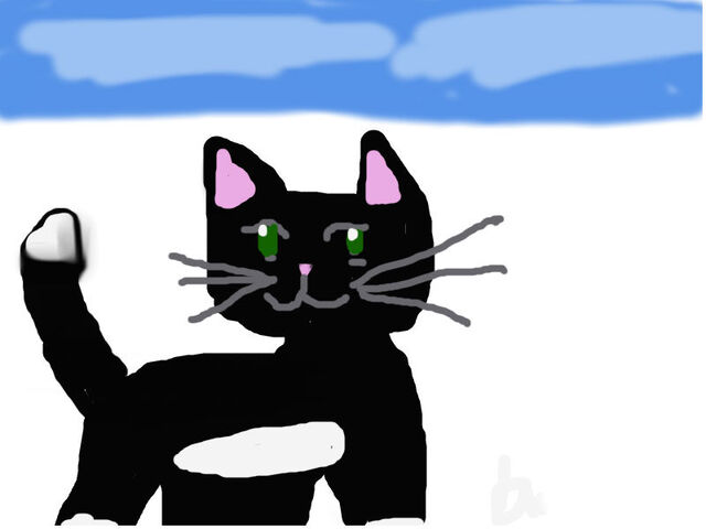File:Icey Pic.jpg