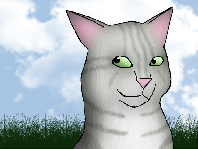 File:Dawnmist.png