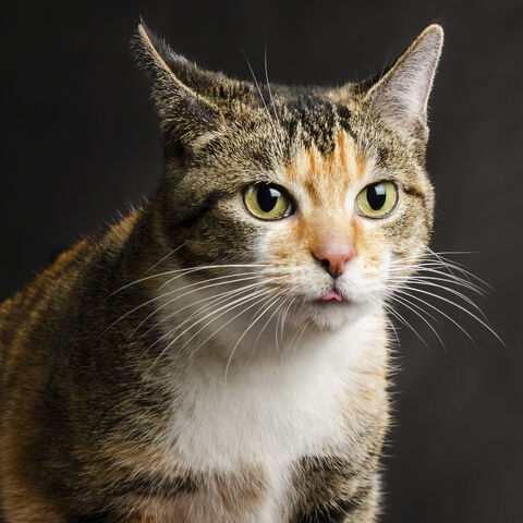 File:ThinkstockPhotos-465608561.jpg