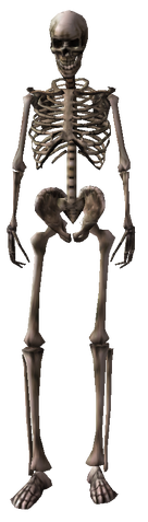 File:Skeletonz.png