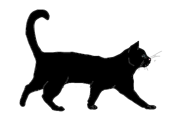 File:Lilyshadow.png