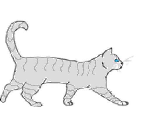 File:Silverpaw by Swiftpaw.jpg