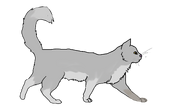 Wolfpaw