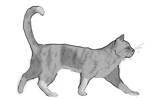 File:Dawnblazelineart.png