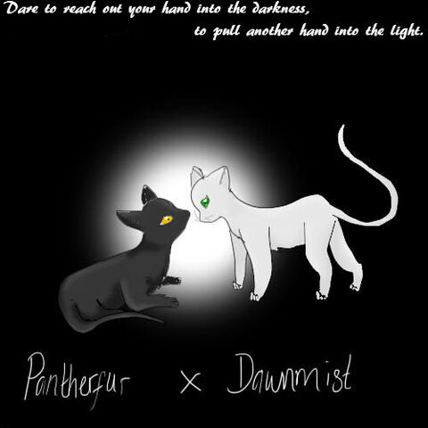 File:Dawnpanther.jpg