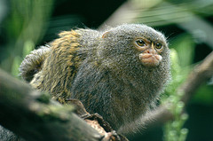 File:54374483 500c578e0e m.jpg