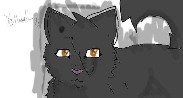 File:Yellowfang 0.jpg